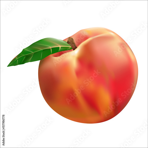 peach fruit