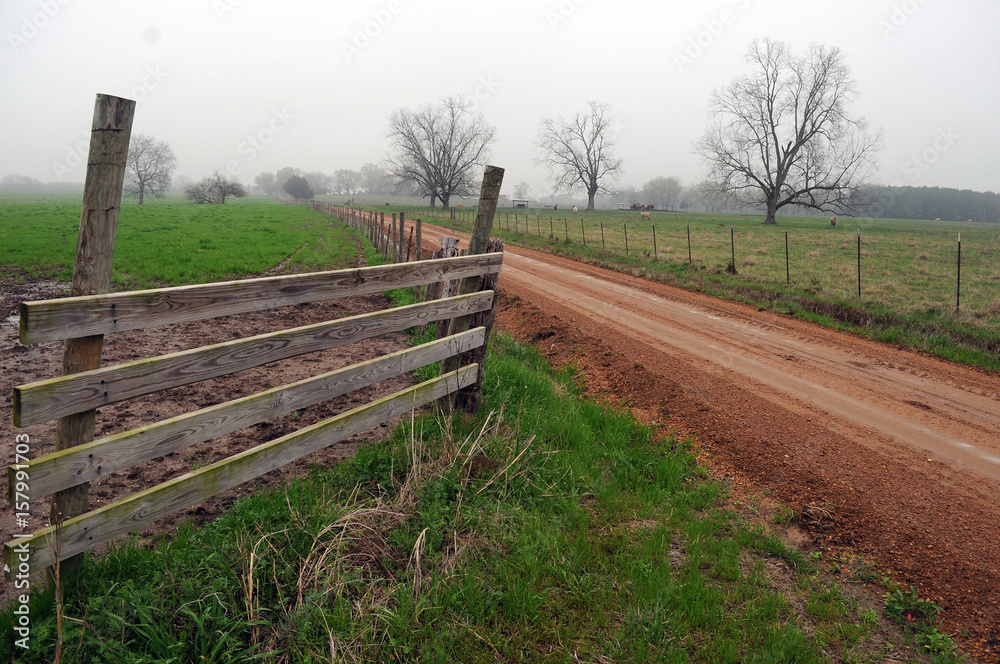 Mississippi dirt road Mississippi dirt road