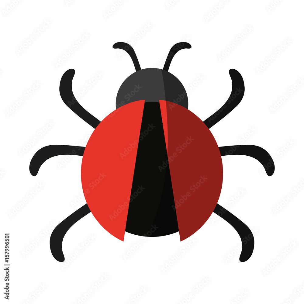 bug or beatle icon image vector illustration design bug or beatle icon image vector illustration design