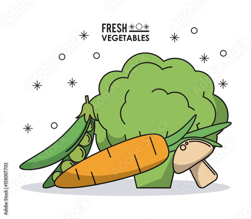 colorful poster fresh vegetables peas mushrooms and carrot and cauliflower vector illustration