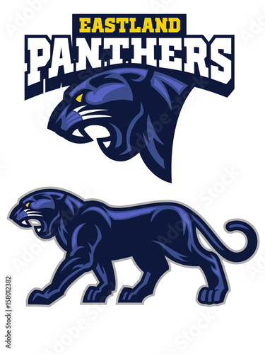 BLack Panther mascot