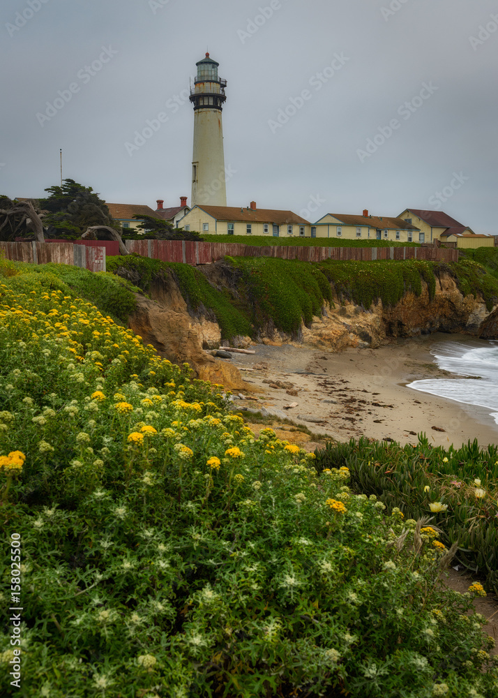 Pigeon Point Lighthouse