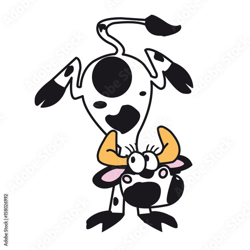 vache