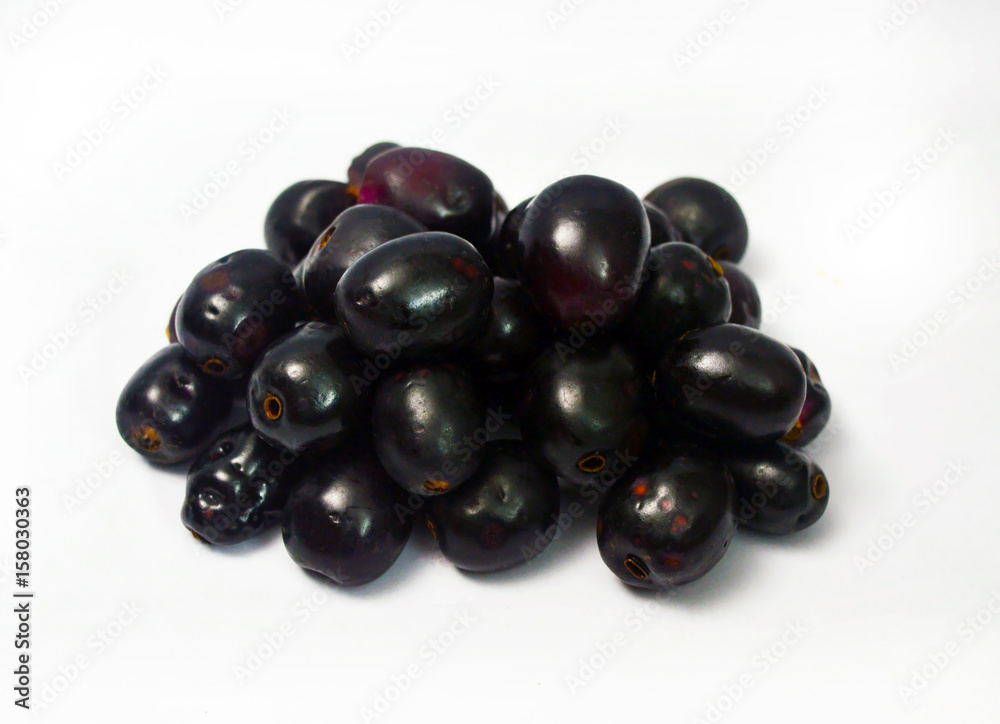 Black Berry or Java Plum Isolated Black Berry or Java Plum Isolated