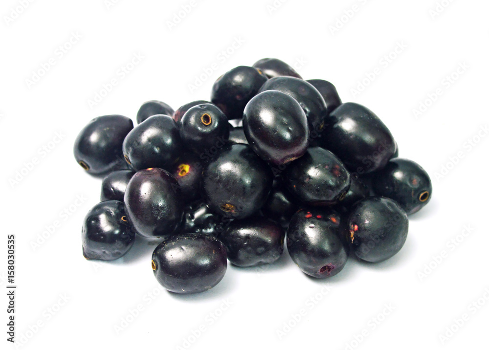 Black Berry or Java Plum Isolated Black Berry or Java Plum Isolated