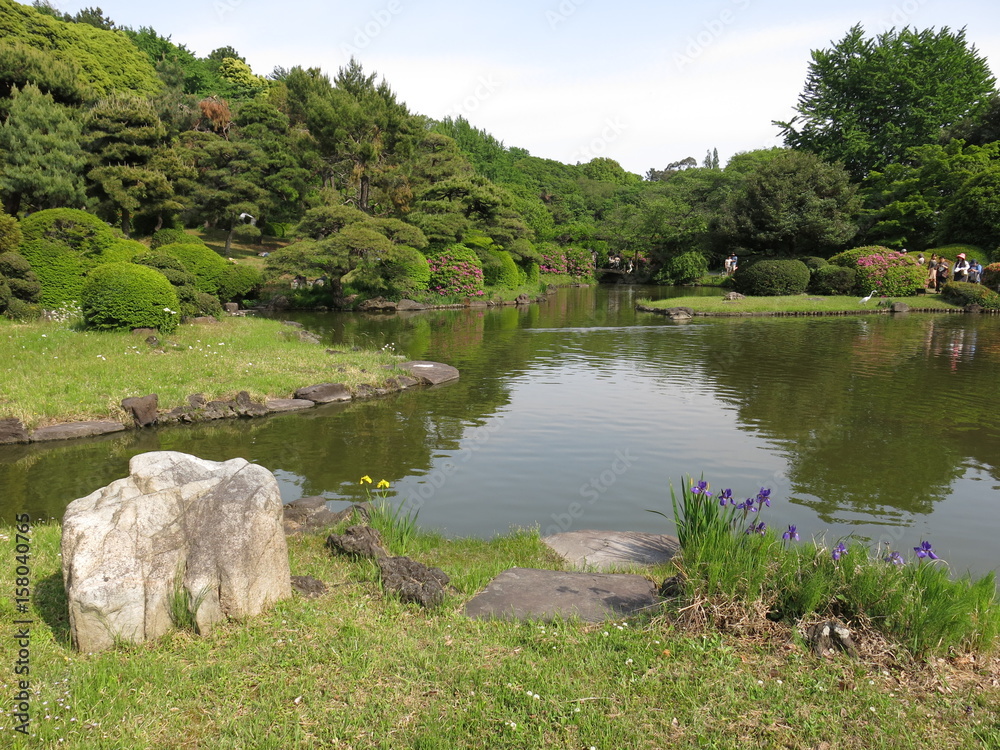 ツツジやカキツバタが咲く小石川植物園の日本庭園