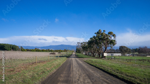 Rural road in Tasmania photo