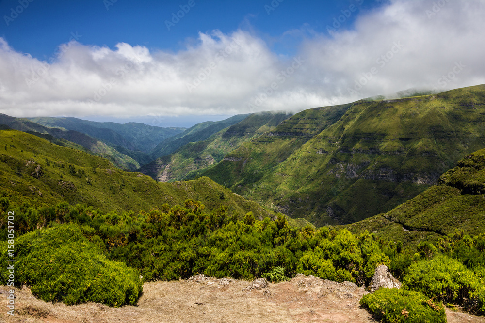 Fototapeta premium Green hills natural landscape, Madeira island, Portugal