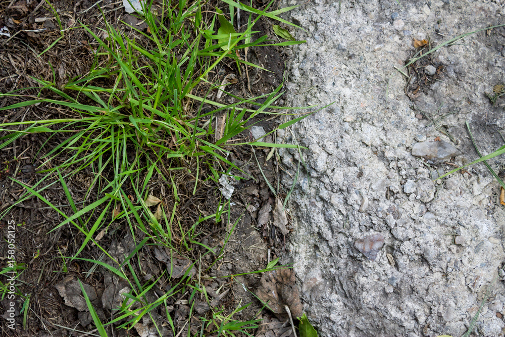 concrete and green grass concrete and green grass