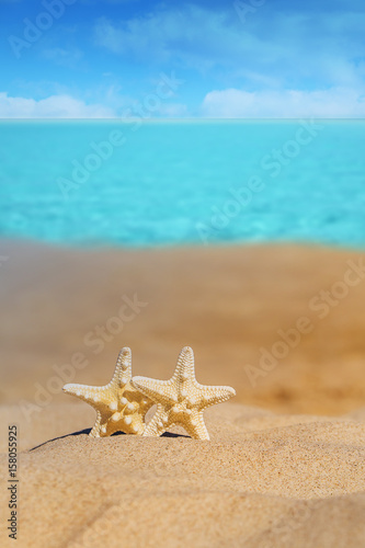 Summer beach with a starfish on a background. Summer beach background.