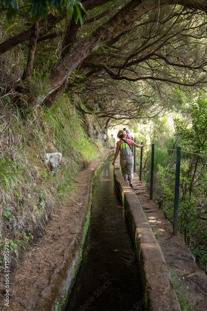 Tourist is walking along levada canal. Madeira island, Portugal