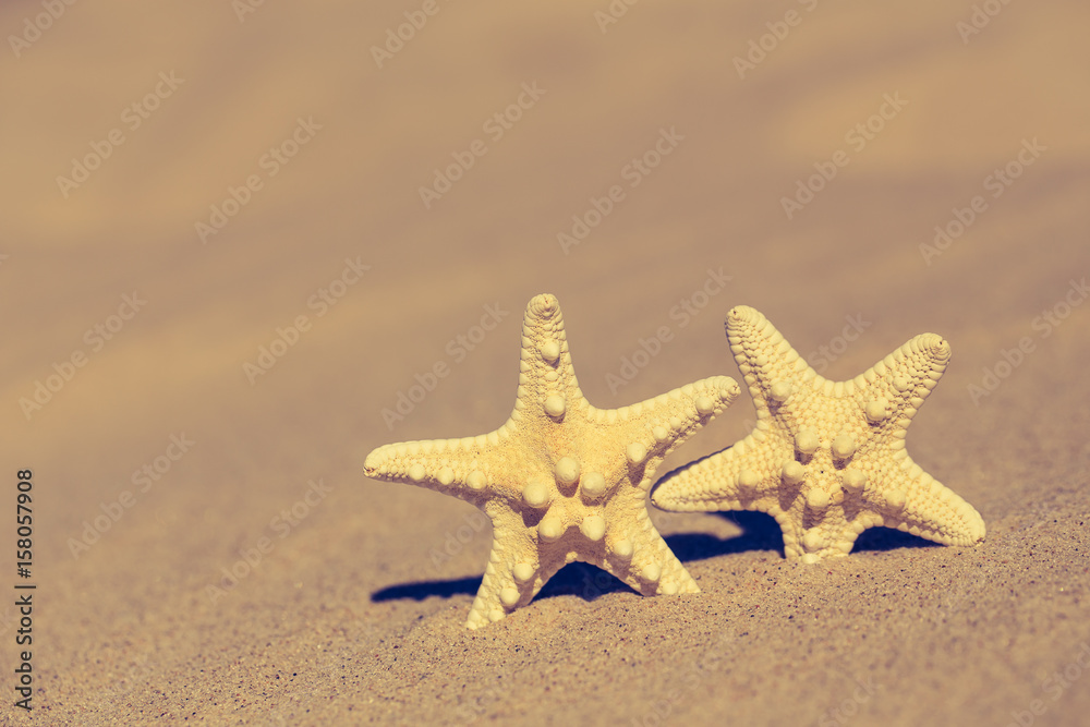 Summer beach with a starfish on a background. Summer beach background. Summer beach with a starfish on a background. Summer beach background.