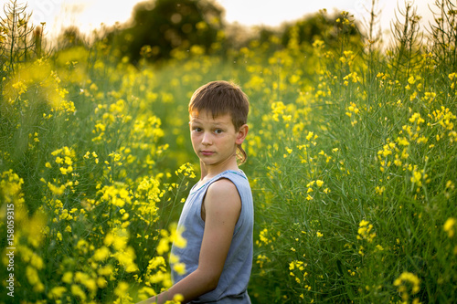 Boy on a yellow rapeseed field in the evening at sunset