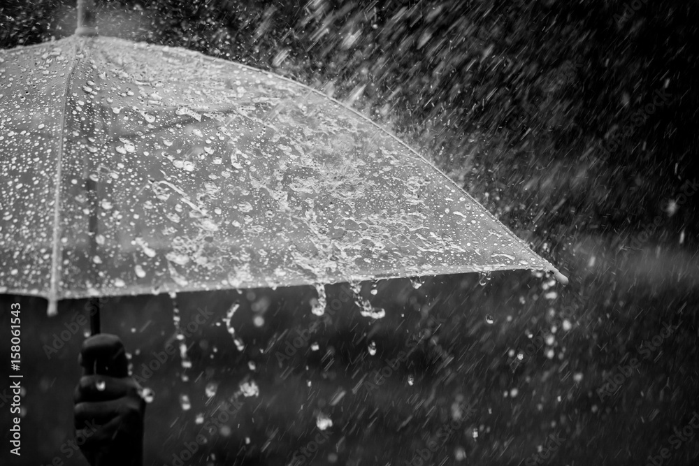 Splashing water on umbrella in the rain in black and white color tone - obrazy, fototapety, plakaty 