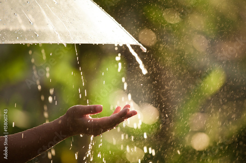 Fotografia Woman hand with umbrella in the rain in green nature background