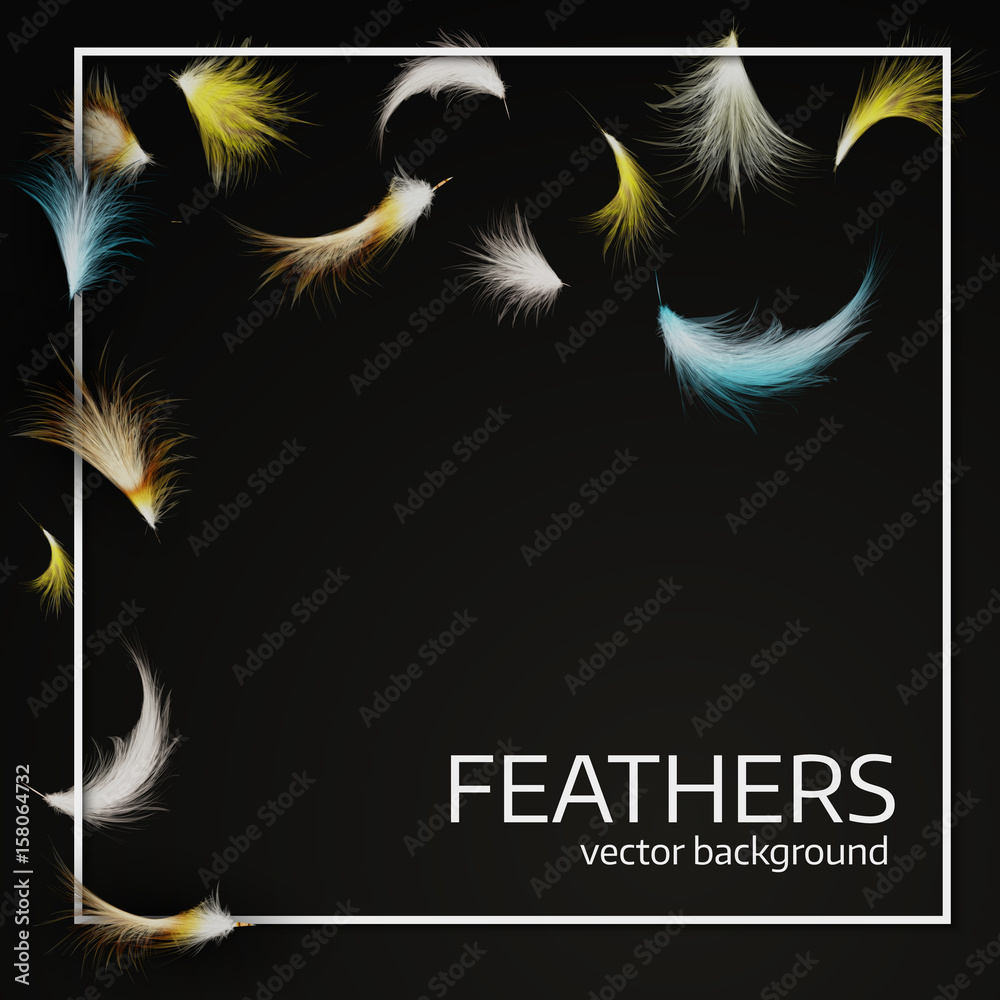 Obraz premium Black feather background with white frame