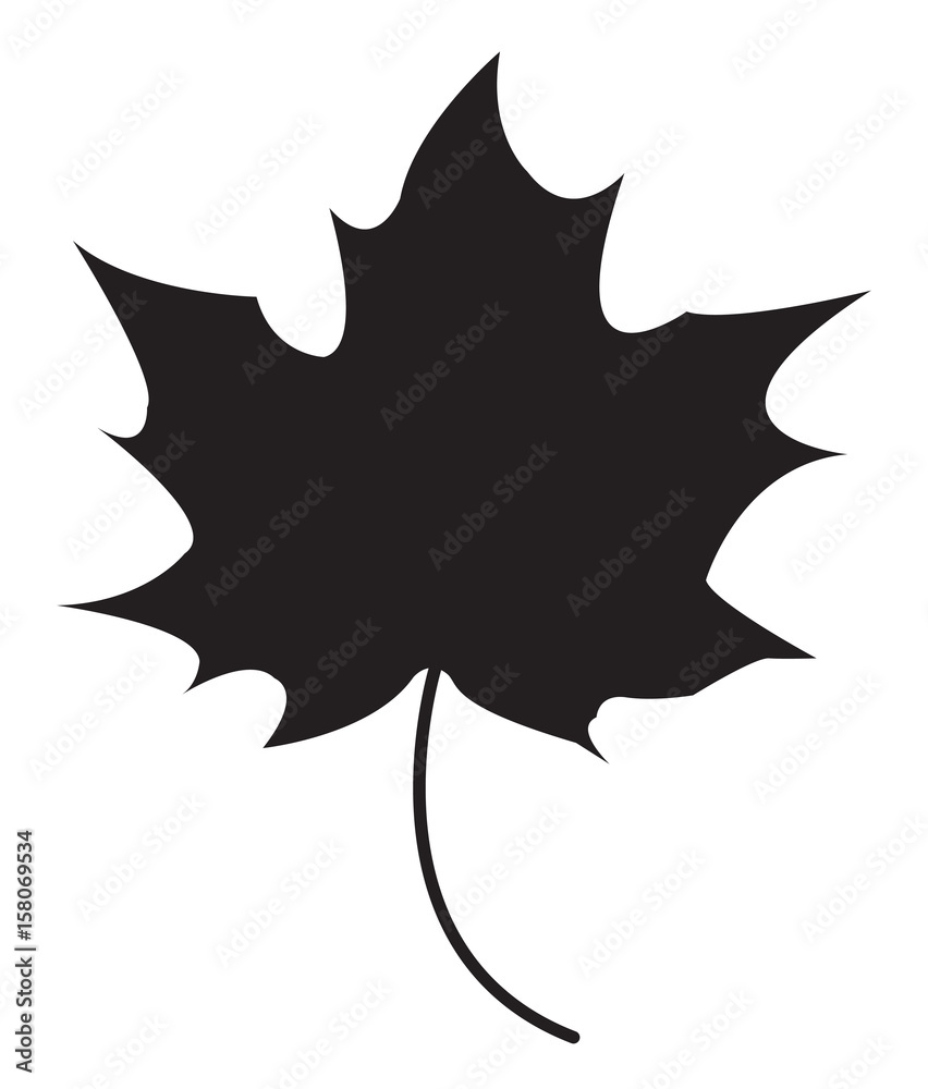 Maple leaf silhouette Maple leaf silhouette