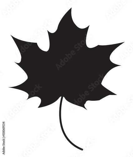 Maple leaf silhouette