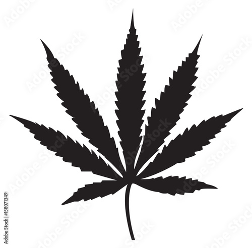Cannabies leaf silhouette