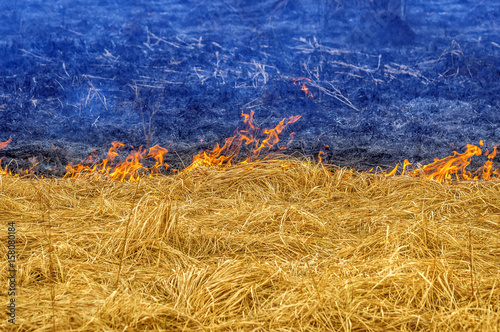 burning yellow grass and blue smoke and ashes like the Ukrainian flag. Line of fire shares a peaceful territory and the war on the ground in Ukraine