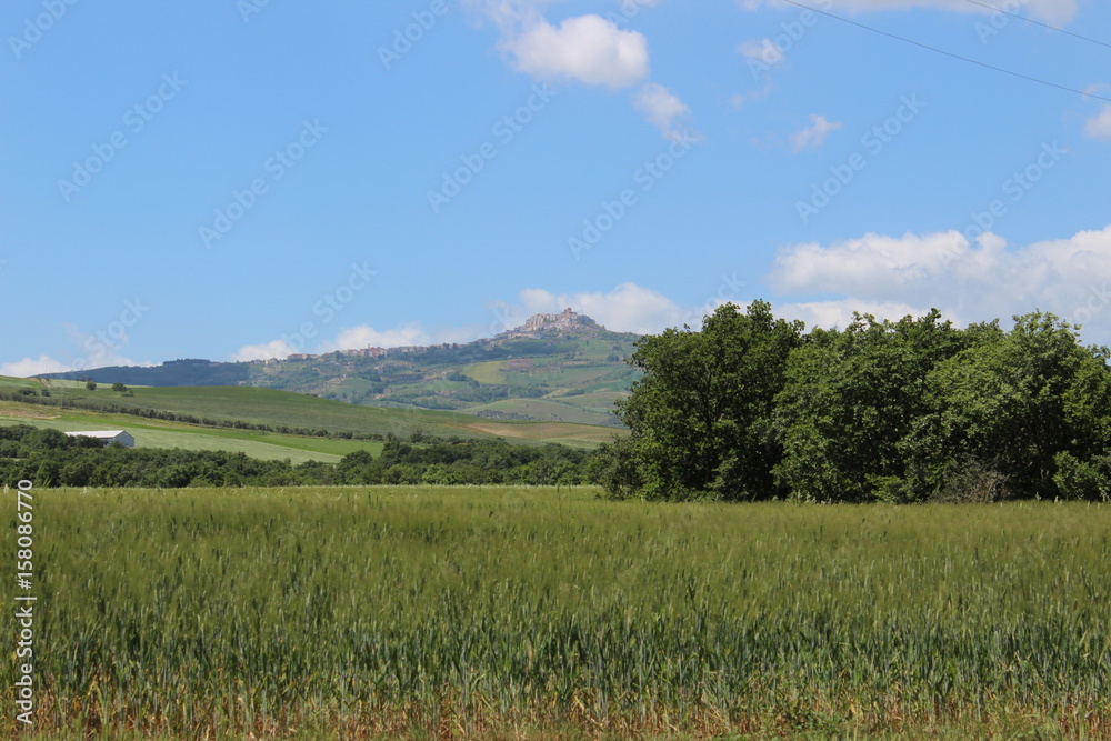 Obraz premium landscape