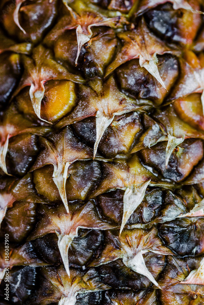 Close-up of a pineapple cover