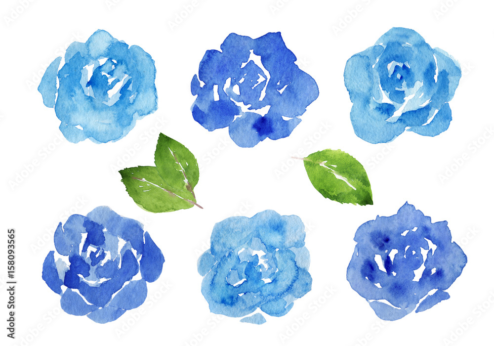 青いバラ 水彩イラスト Stock Illustration Adobe Stock