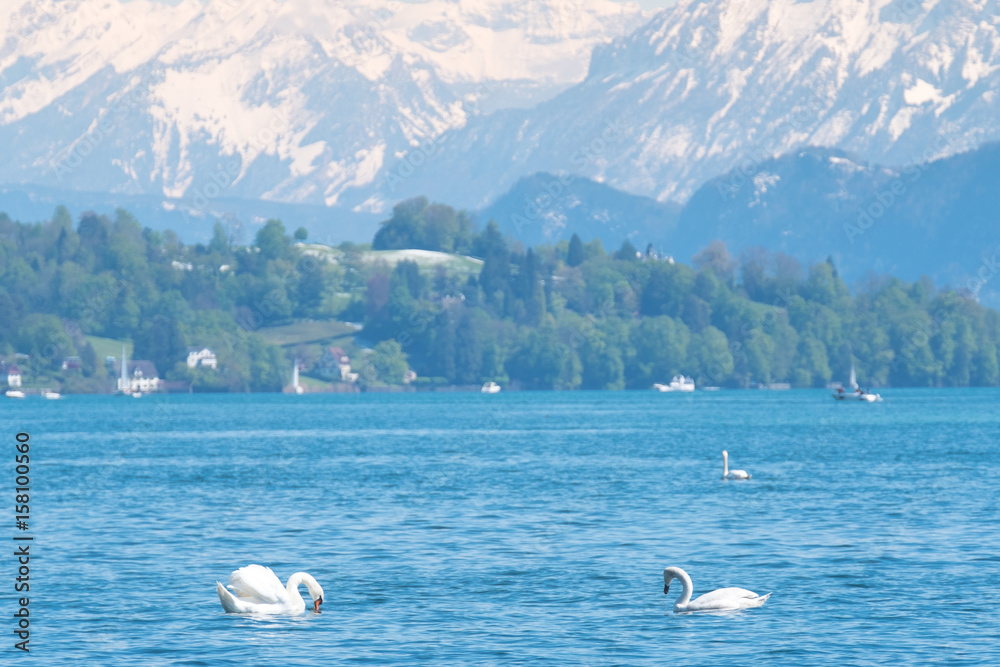 Lake Lucerne. Lucerne. Switzerland.