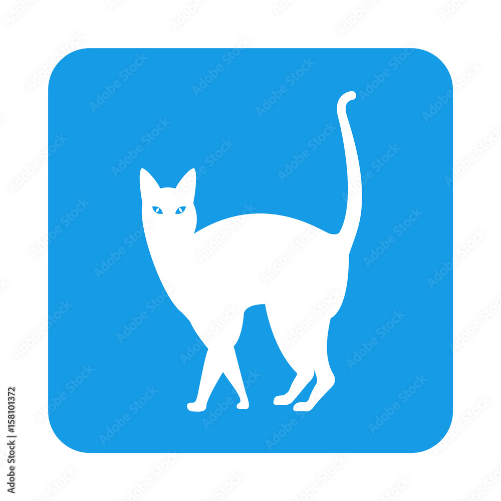 Icono plano gato en cuadrado azul