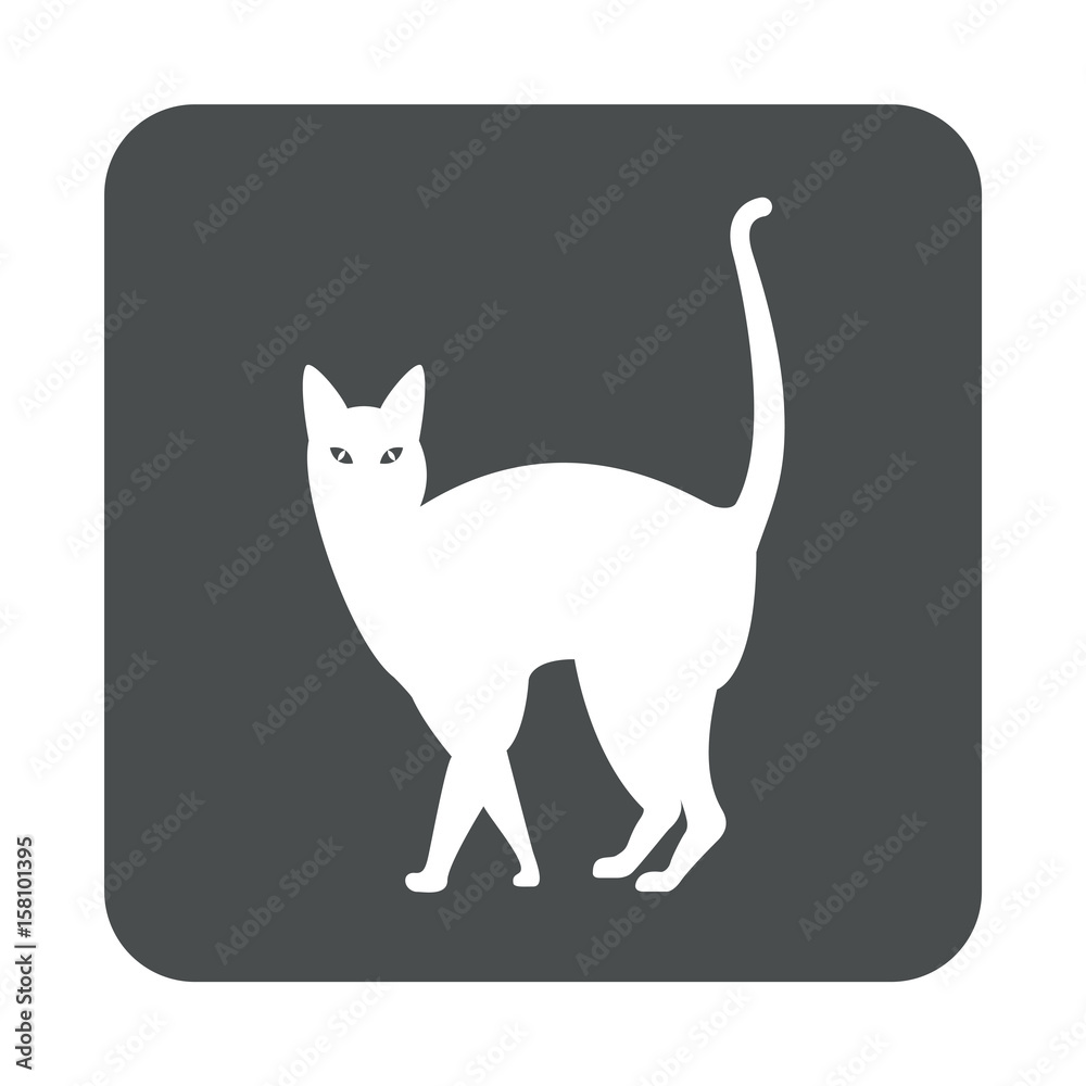 Icono plano gato en cuadrado gris