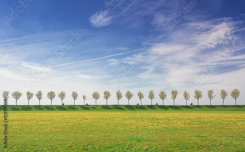 Motorcyclists on a dike with a row of trees in the Beemster Polder