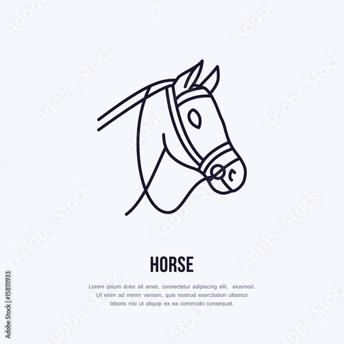 Fototapeta Horse, cute pony flat line icon