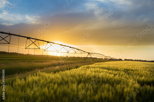 Irrigation system n wheat field