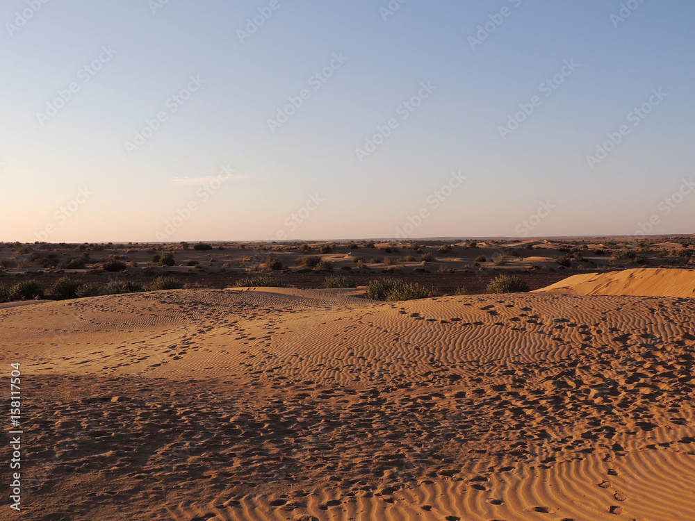desert in india
