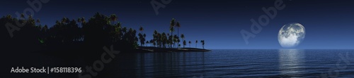 Tropical island under the moon  night ocean  shore at night  palm trees above the water under the moon