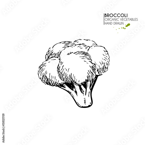 Vector hand drawn set of farm vegetables. Isolated broccoli cabbage. Engraved art. Organic sketched vegetarian objects.