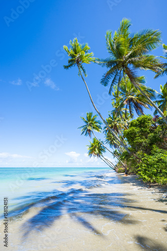 Palm trees casting long shadows on the waves of a tropical island beach in Bahia, Brazil