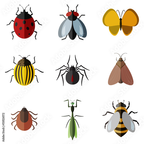insects flat icon set © egorvector