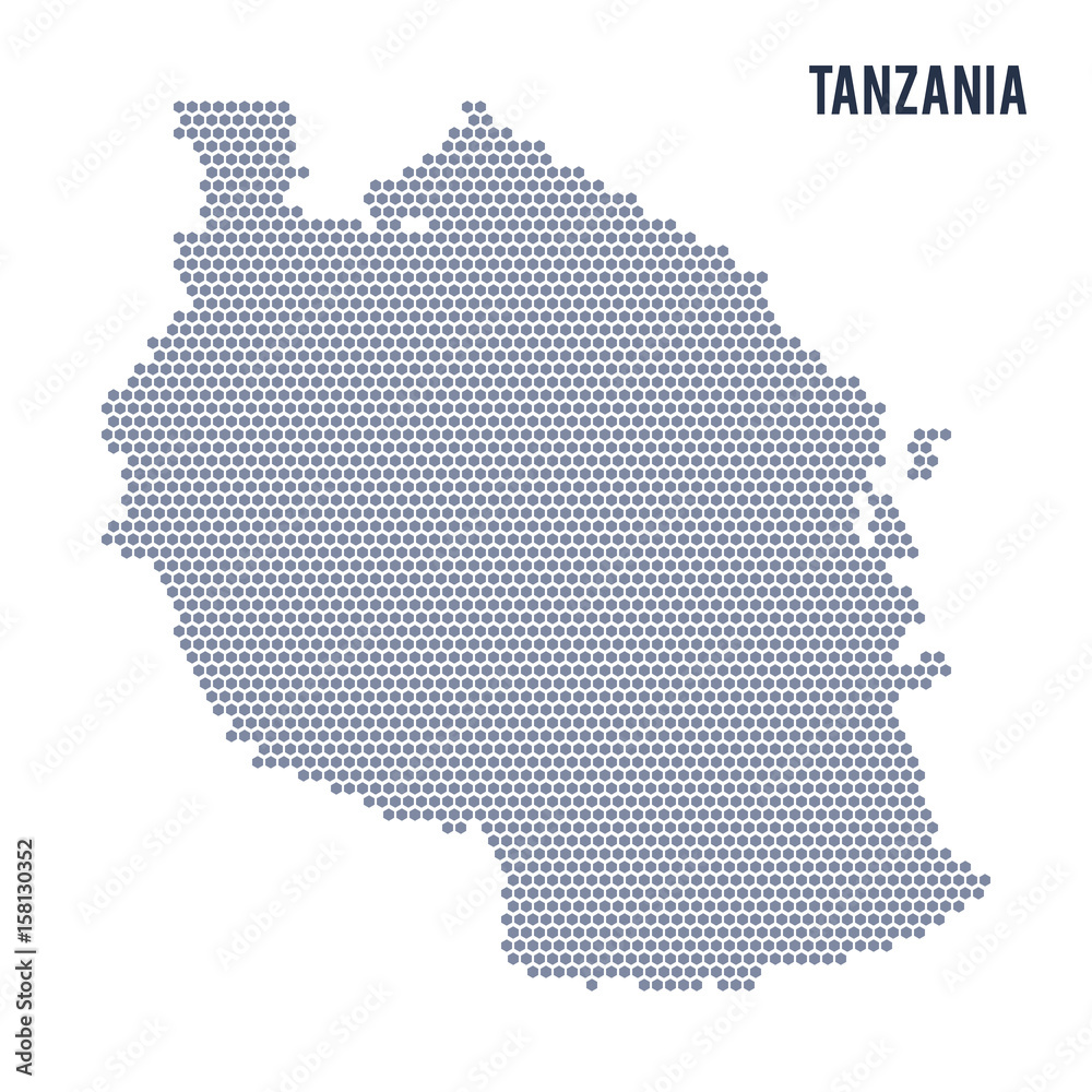 Vector hexagon map of Tanzania on a white background