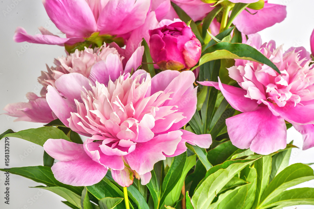 Peony flowers bouquet. Springtime fresh natural composition Peony flowers bouquet. Springtime fresh natural composition