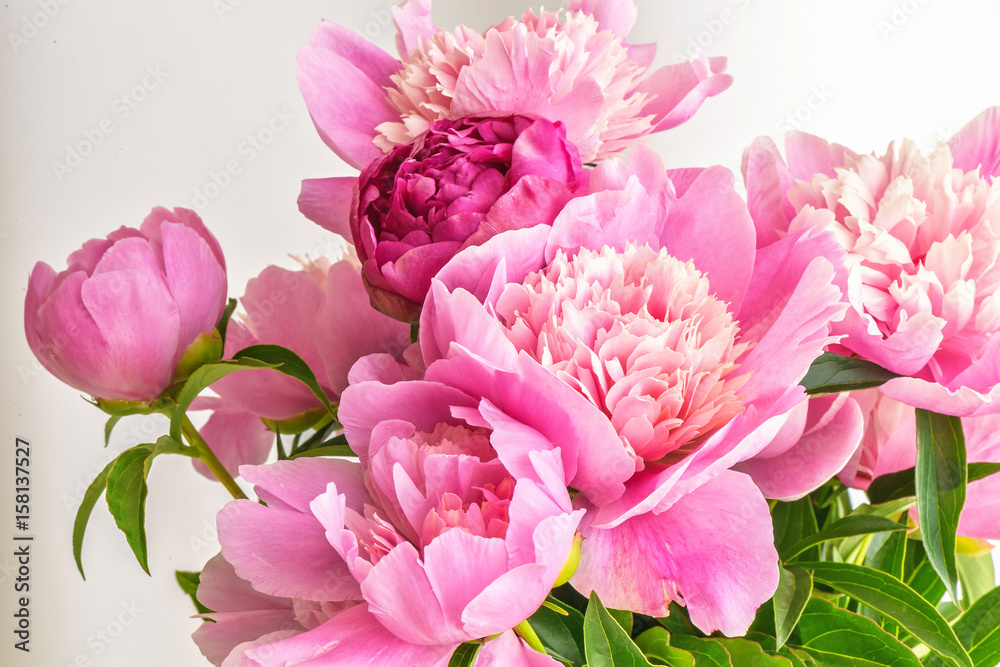 Peony flowers bouquet. Springtime fresh natural composition