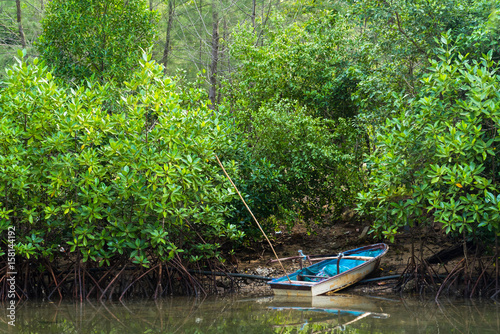 The small blue boat parked in a small canal at the mangrove forest.Thailand.