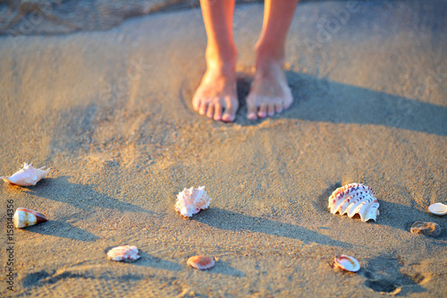 Sea shells and woman legs in the sand on the beach