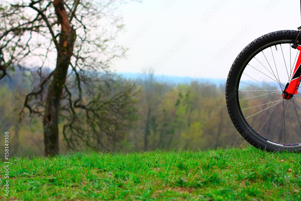 Bike on the green grass