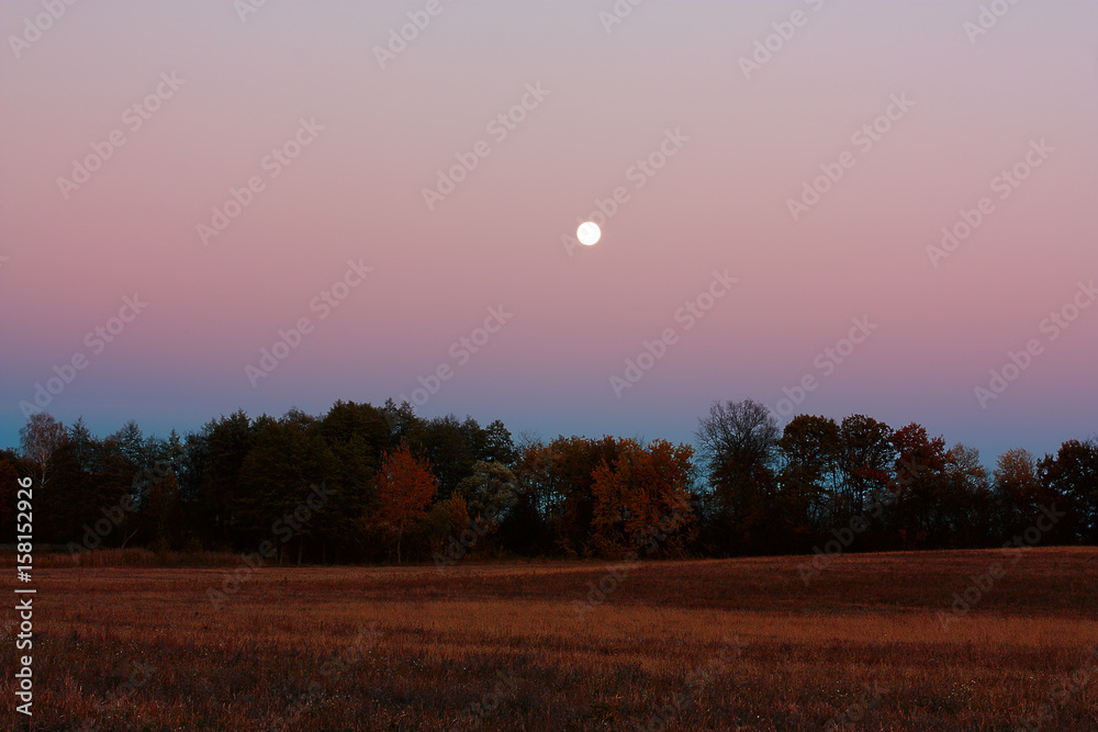 Landscape with an evening moon