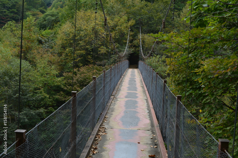 Obraz premium 吊り橋