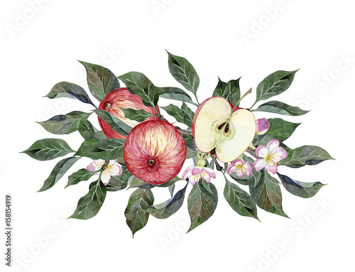 Watercolor hand painted bouquet with apples, apple branches, leaves and flowers. Illustration for cards, wedding invitation, posters, greeting design isolated on white background.