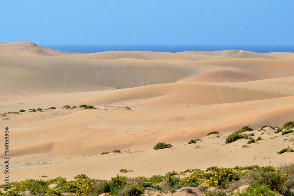 Morocco Desert Morocco Desert