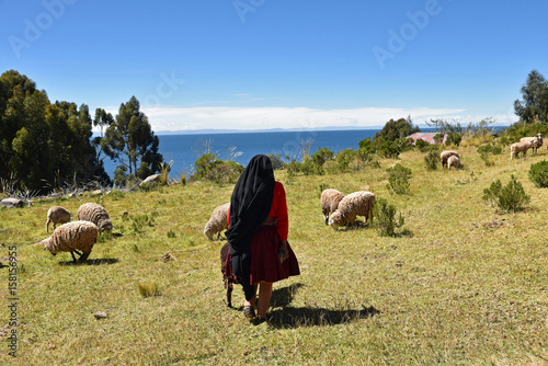 Péruvienne gardant des moutons au bord du lac Titicaca au Pérou