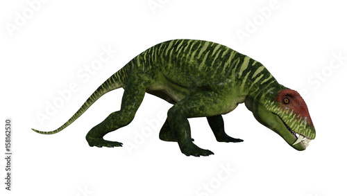 3D Rendering Dinosaur Doliosauriscus on White © photosvac